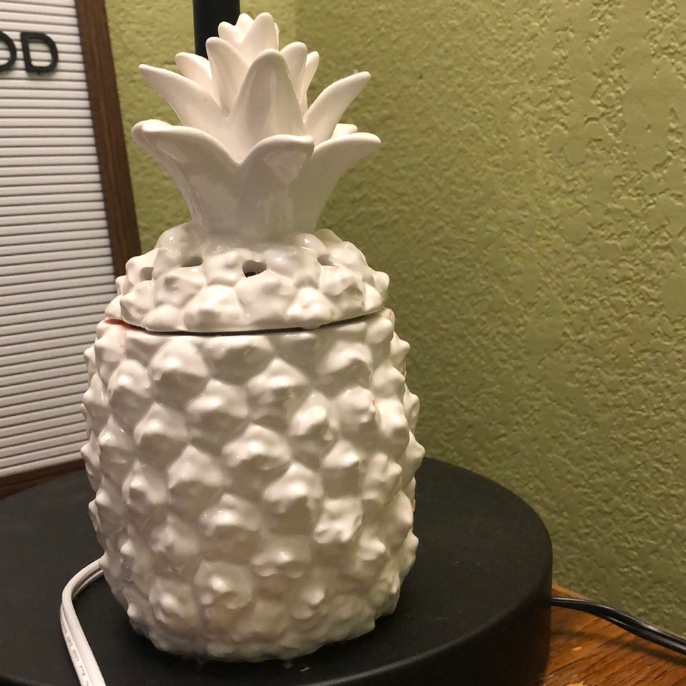 Southern Hospitality Scentsy Warmer